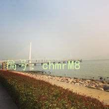 Ʋ