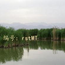 Ȼ